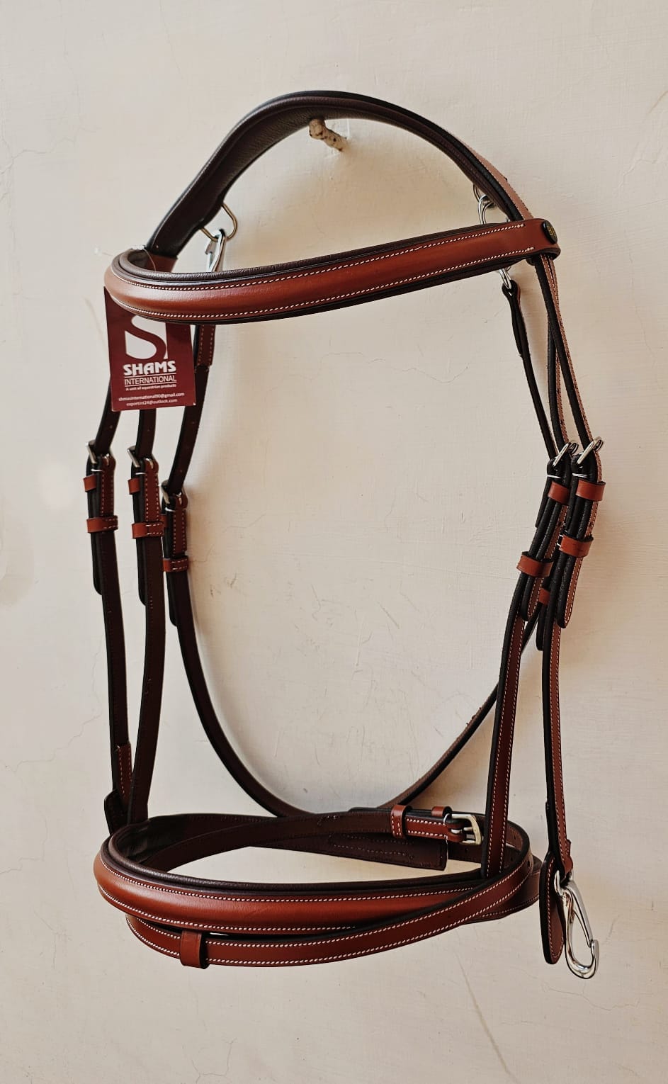 Bridles variant 14